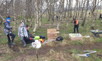 People planting tree seedlings in a birch woodland using shovels and gardening tools.